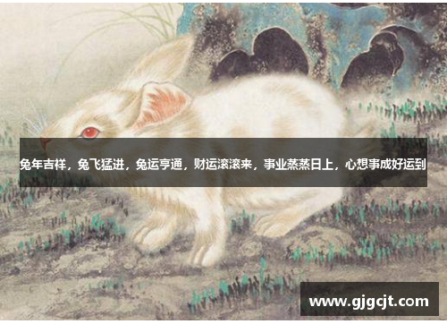 兔年吉祥，兔飞猛进，兔运亨通，财运滚滚来，事业蒸蒸日上，心想事成好运到